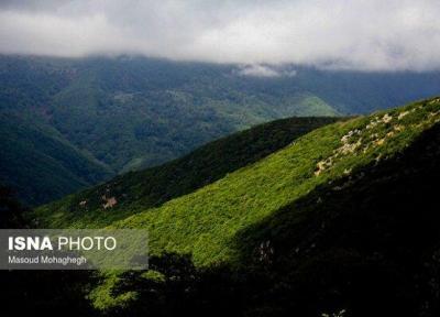جنگل هیرکانی فتاتو در فهرست آثار ملی ثبت شد